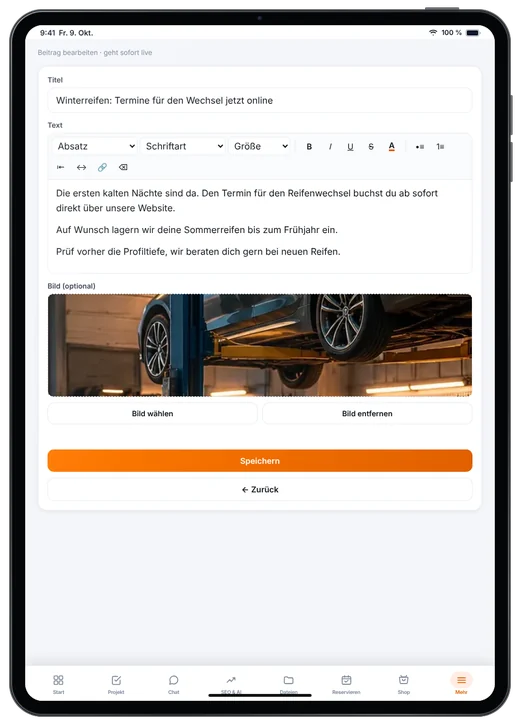 Kundenzugang von Webfire Marketing: Blog-Beitrag zum Winterreifen-Wechsel wird bearbeitet (Beispieldaten)